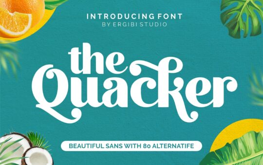 Quacker-Sans-Serif-Font-1.jpg