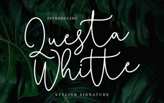 Questa-Whitte-Signature-Font.jpg