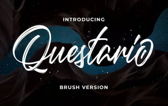 Questario-Brush-Script-Font-1.jpg