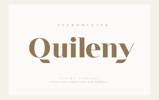 Quileny-Font.jpg