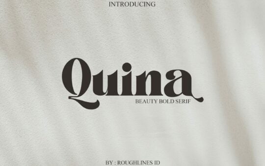Quina-Bold-Serif-Font-1-scaled.jpg