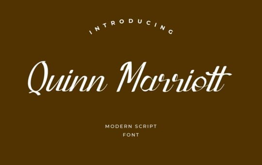 Quinn-Marriott-Script-Font-1.jpg
