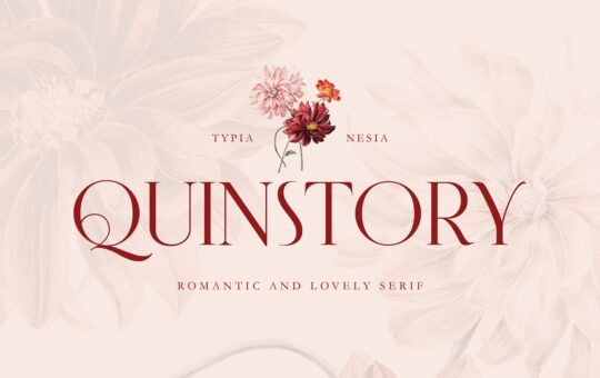 Quinstory-Modern-Serif-Font-1.jpg