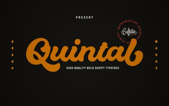 Quintal-Bold-Script-Font.jpg
