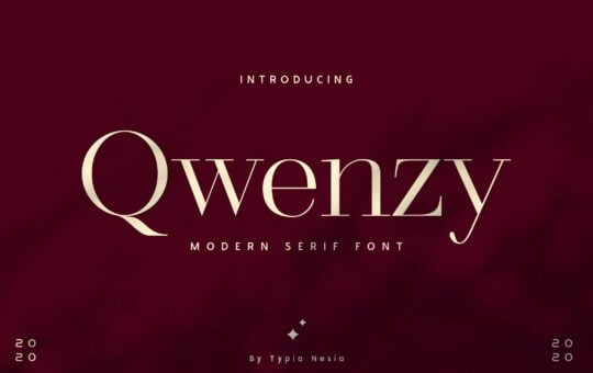 Qwenzy-Modern-Serif-Font-1-1.jpg