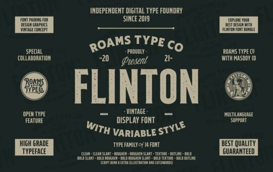 RTCO-Flinton-Font.jpg