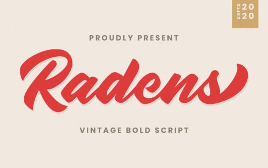 Radens-Bold-Script-Font-1.jpg