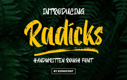 Radicks-Script-Brush-Font-1.jpg