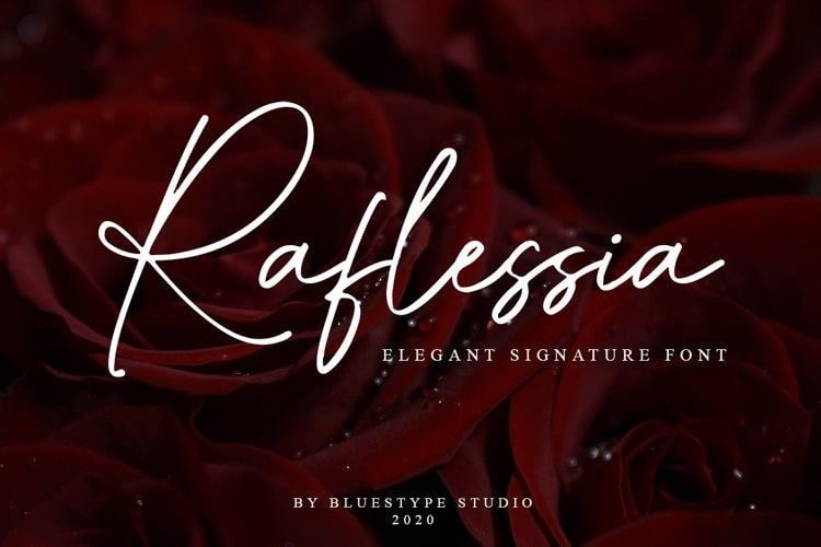 Raflessia-Elegant-Signature-Font-1.jpg