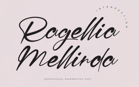 Ragellia-Mellinda-Handwritten-Script-Font-1.jpg