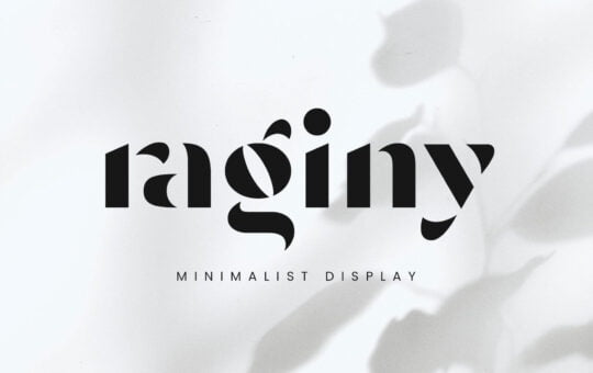Raginy-Display-Sans-Font-1.jpg