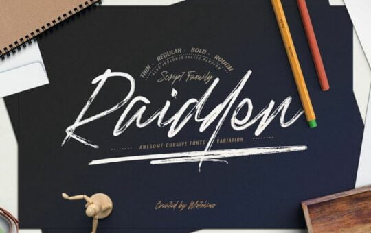 Raidden-Script-Font-Family.jpg