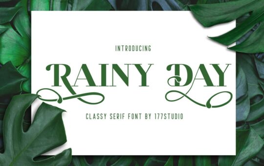 Rainy-Day-Classy-Serif-Font-1.jpg