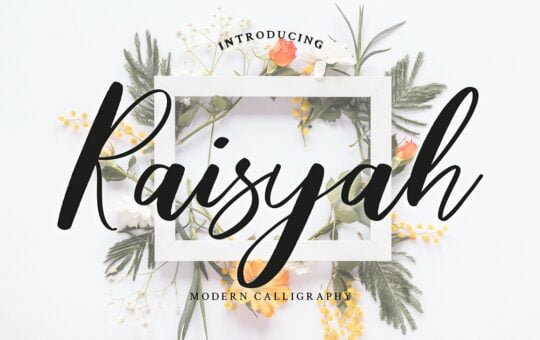 Raisyah-Calligraphy-Script-Font-1.jpg