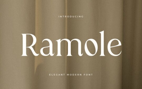 Ramole-Moderne-Serif-Font-1.jpg