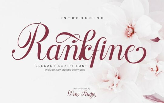 Rankfine-Calligraphy-Script-Font.jpg