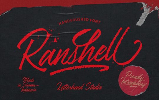 Ranshell-Dry-Brush-Script-Font-1.jpg