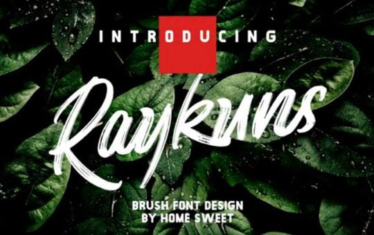 Raykuns-Font-1.jpg