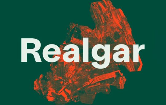 Realgar-Sans-Font-Family.jpg