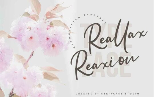 Reallax-Reaxion-Handwritten-Font-1.jpg