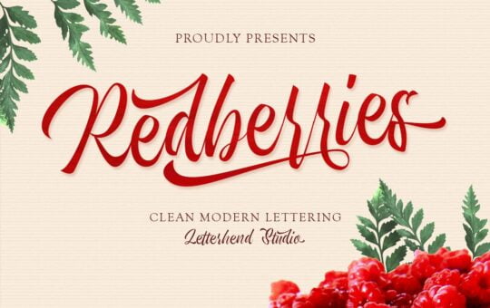 Redberries-Calligraphy-Script-Font-1.jpg
