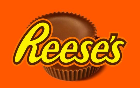 Reeses-Script-Font-1.jpg