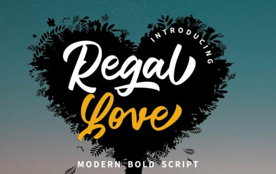 Regal-Love-Bold-Script-Font-1.jpg