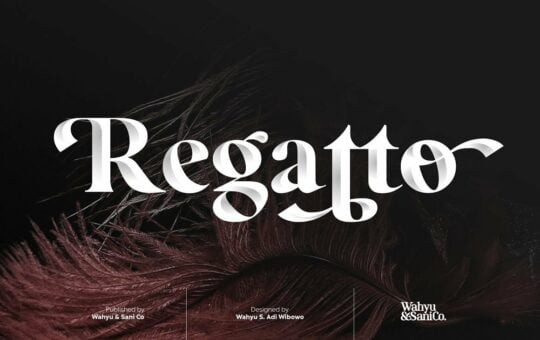 Regatto-Font.jpg