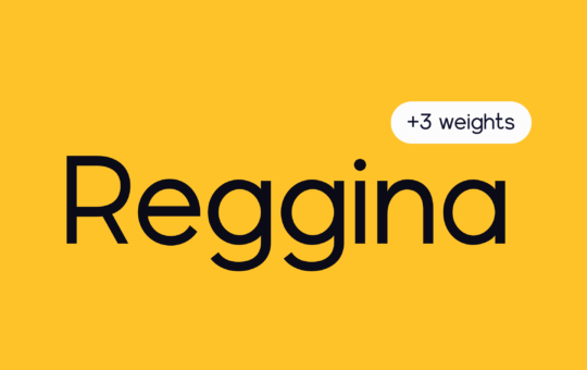 Reggina-Sans-Serif-Font-1.png