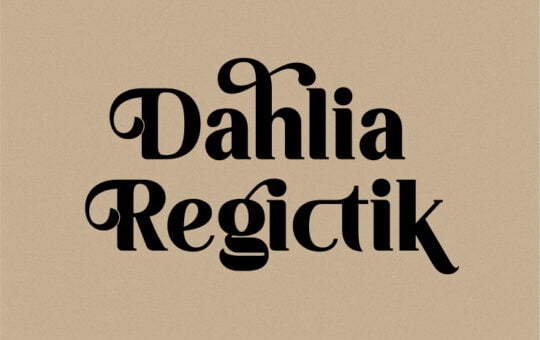 Regictik-Luxury-Serif-Font-1.jpg