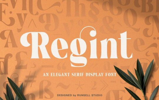 Regint-Serif-Display-Font.jpg