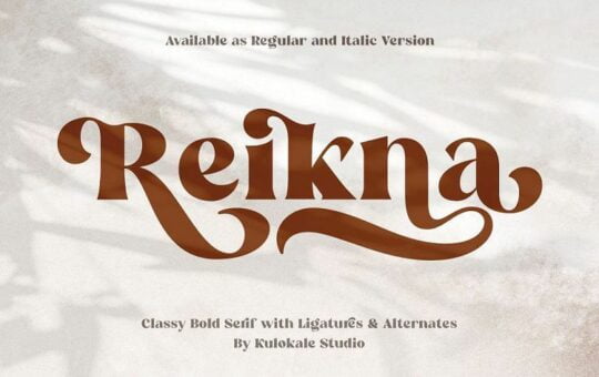 Reikna-Classy-Bold-Serif.jpg