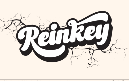 Reinkey-Bold-Script-Font-1.png