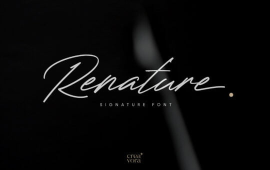 Renature-Signature-Script-Font-1.jpg