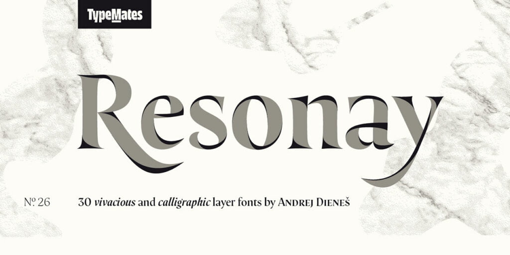 Resonay-Serif-Font-Family-1.jpg