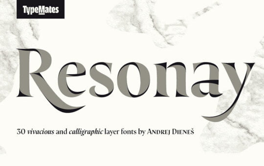 Resonay-Serif-Font-Family-1.jpg