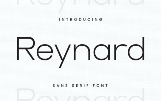 Reynard-Sans-Serif-Font-1.jpg