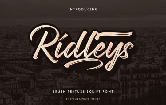 Ridleys-Font.jpg