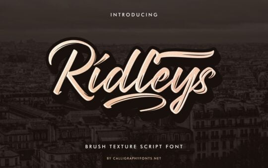 Ridleys-brush-Font-1.jpg