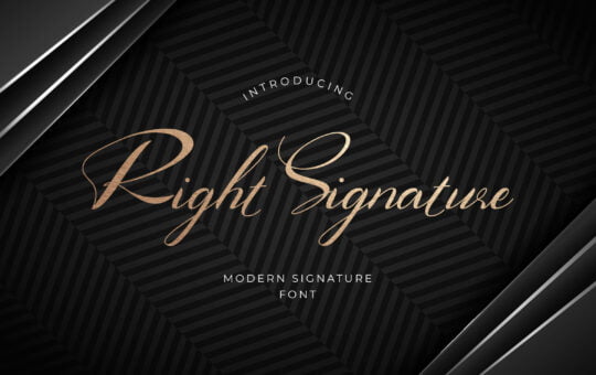 Right-Signature-Calligraphy-Font-1.jpg