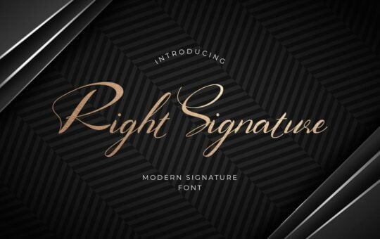 Right-Signature-Script-Font.jpg