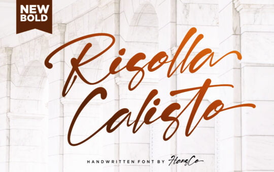 Risolla-Calisto-Script-Font-1.jpg