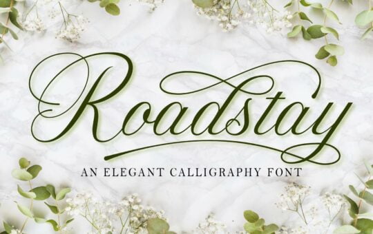 Roadstay-Elegant-Calligraphy-Font-1.jpg