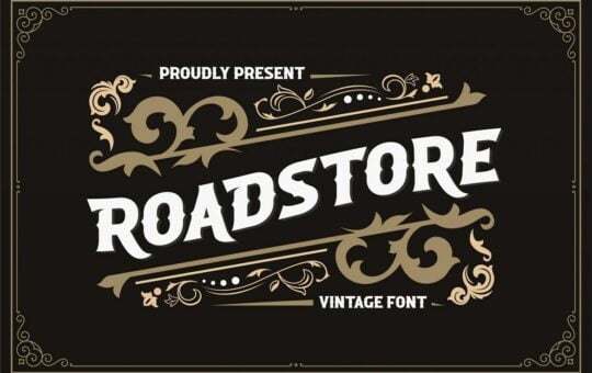 Roadstore-Vintage-Display-Font-1.jpg