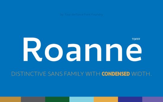 Roanne-Sans-Serif-Font-1.jpg