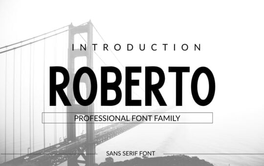 Roberto-Font.jpg