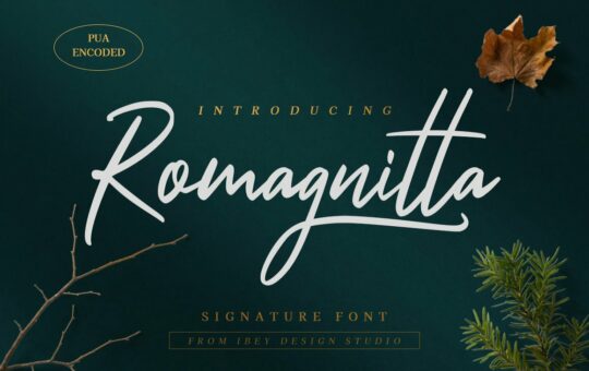 Romagnitta-Font.jpg