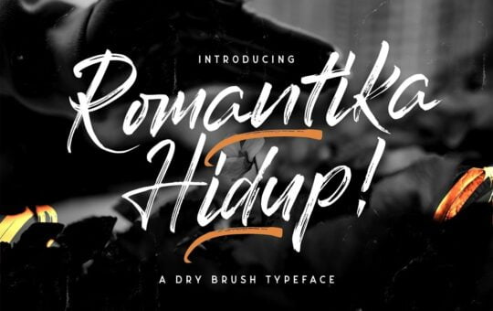 Romantika-Hidup-Dry-Brush-Typeface-1.jpg