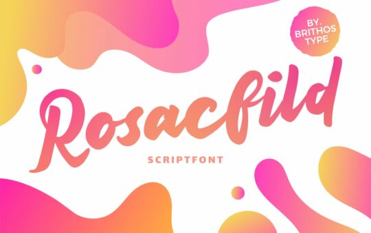 Rosacfild-Bold-Script-Font.jpg