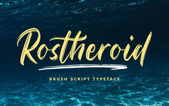 Rostheroid-Script-Brush-Font-1.jpg